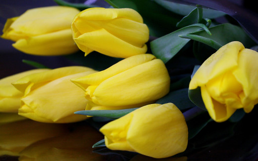 613697 (a): :2560x1600